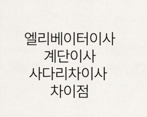 엘리베이터이사